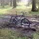 Mein Fahrrad steht im Walde ...