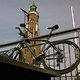 Foto0008Bike 001