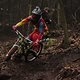 IMG 7738
