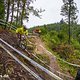 Für viele Fahrer wurden die rutschigen Wurzeln zum Verhängnis.