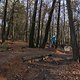 IMG 1774
