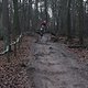 IMG 1189