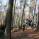 IMG 1698