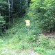 IMG 3393