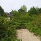 Halde Hoppenbruch Busch Gap