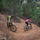 Riders decending switchbacks during stage 3 of the 2019 Absa Cape Epic Mountain Bike stage race held from Oak Valley Estate in Elgin, South Africa on the 20th March 2019.

Photo by Xavier Briel/Cape Epic

PLEASE ENSURE THE APPROPRIATE CREDIT IS G