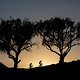 Riders during stage 4 of the 2019 Absa Cape Epic Mountain Bike stage race from Oak Valley Estate in Elgin, South Africa on the 21st March 2019.

Photo by Sam Clark/Cape Epic

PLEASE ENSURE THE APPROPRIATE CREDIT IS GIVEN TO THE PHOTOGRAPHER AND A