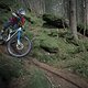 Mit Spaß und Freude durch kleine Pfade im Wald