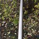 IMG 20211105 161752