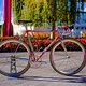 Colnago Master Olympic -2