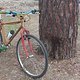 Kona Cinder Cone 1994