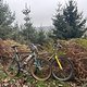IMG 1541