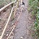 Cardio Gassirunde, Rheinsteig