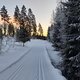 Winterpokal-Aktivität