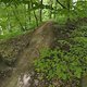 Gratis Wurzeltrail