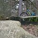 IMG 8768