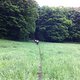 IMG 0405