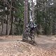 IMG 3387