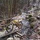 SDC19975 kl