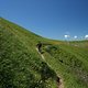 IMG 2238
