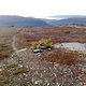 TuriststiGamasvarre