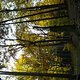DSCN0562