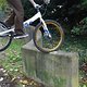 DSC 0137053 prot