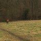 IMG 1490