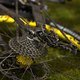 Mavic &amp; Sram