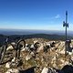 IMG 0350