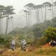 Warwick Van Breda and Wayne Keet lead Martijn Mellaart and William Wertheim Aymes up the climb during the Prologue of the 2019 Absa Cape Epic Mountain Bike stage race held at the University of Cape Town in Cape Town, South Africa on the 17th March 20