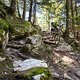 Vinschgau - Roatbrunn Trail