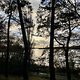 IMG 4827