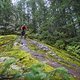 BC Squamish - Grinch Toes