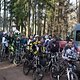 Bike Beerfelden P 239