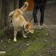 IMG 0433
