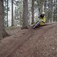 Woods...