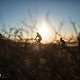 Riders during the Prologue of the 2017 Absa Cape Epic Mountain Bike stage race held at Meerendal Wine Estate in Durbanville, South Africa on the 19th March 2017

Photo by Nick Muzik/Cape Epic/SPORTZPICS

PLEASE ENSURE THE APPROPRIATE CREDIT IS GI