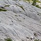 Karst Rocks