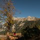 IMG 0561