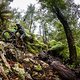 NZEnduro19 BB 898A9667