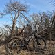Mountainbike-Fahrt am Nachmittag