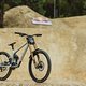 DG Hardline Tasmania 2025 S