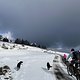 IMG 7325