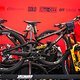 Drei verschiedene Bikes haben wir bei Specialized Gravity entdeckt.