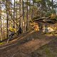 Frühling in der Pfalz