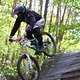 IMG 4771