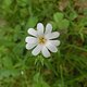 130509 Eltzbachtal26