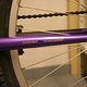 IMG 3334