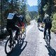 IMG 0473